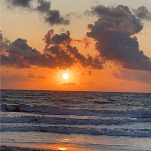 Meet your Posher, Maddie